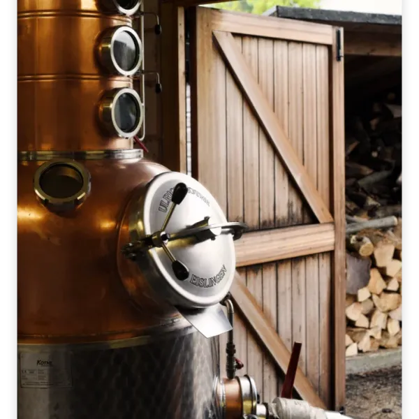 Distillery Trends in the Marches